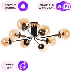 Потолочная люстра Oxford Arte lamp Oxford с поддержкой Алиса A2716PL-8BK-A
