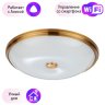 Настенно-потолочный светильник Pelow Odeon Light с поддержкой Алиса 4956/5-A