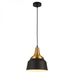 Подвесной светильник Escada Aries 1102/1S Black