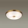 Настенно-потолочный светильник с лампочками Odeon Light Pelow 4956/4+Lamps E14 P45