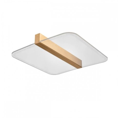 Потолочный светильник Vele Luce Futuro VL7224L21