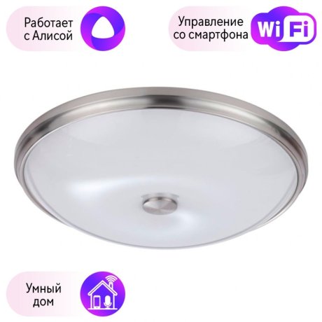 Настенно-потолочный светильник Pelow Odeon Light с поддержкой Алиса 4957/5-A