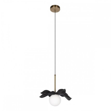 Подвесной светильник Loft IT Monro 10213/A Black