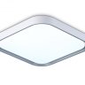 Потолочный светодиодный светильник Ambrella light ORBITAL FZ1256