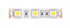 5м. Светодиодная лента холодного цвета 6000К, 14,4W, 12V, 60LED, IP65 Led strip Maytoni 10133