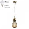 Подвесной светильник Odeon Elica с лампочкой 5402/1+Lamps E14 P45