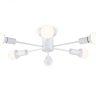 Потолочный светильник Ambrella light TRADITIONAL TR80401