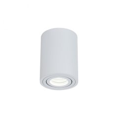 Потолочный светильник Maytoni Alfa C016CL-01W