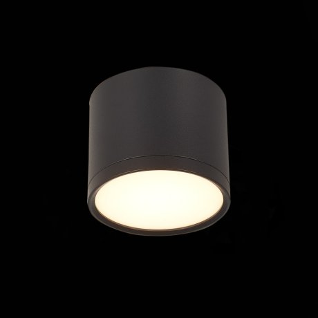 Светильник потолочный ST-Luce ST113.432.09