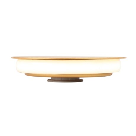 Светодиодный светильник Vitaluce V4671-8/1A