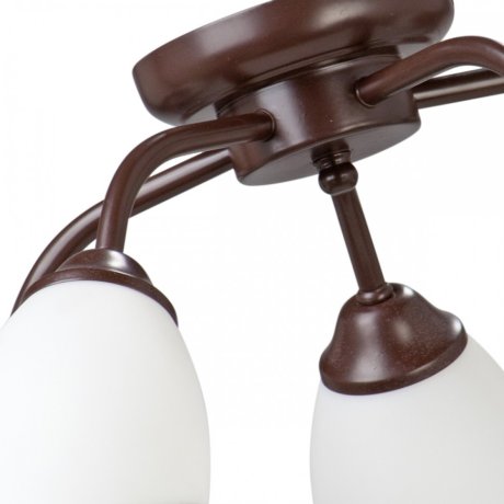 V3252/5PL Потолочная люстра Vitaluce