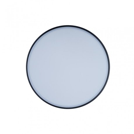 Потолочный светодиодный светильник Axel Loft It 10002/12 Black