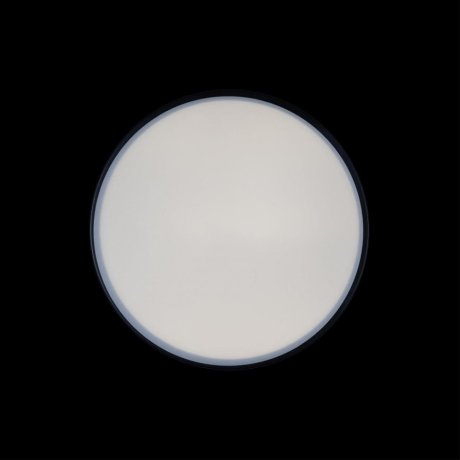 Потолочный светодиодный светильник Axel Loft It 10002/12 Black