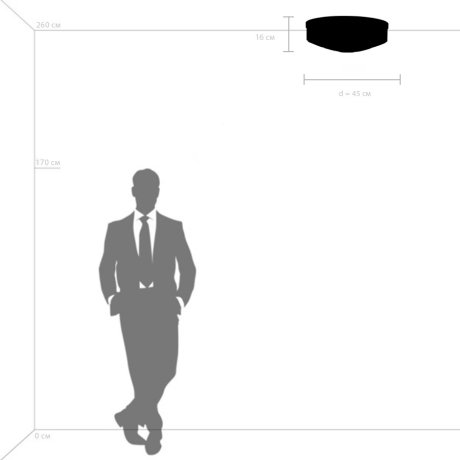 Потолочный светильник Lightstar с поддержкой Алисы, Siena 720227