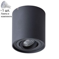 Светильник с лампочкой Arte Lamp Falcon A5645PL-1BK+Lamps Gu10