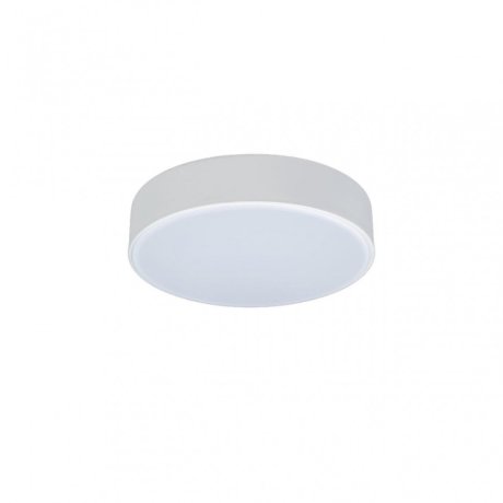 Потолочный светодиодный светильник Axel Loft It 10002/12 White
