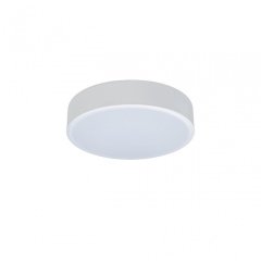 Потолочный светодиодный светильник Axel Loft It 10002/12 White