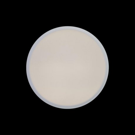 Потолочный светодиодный светильник Axel Loft It 10002/12 White