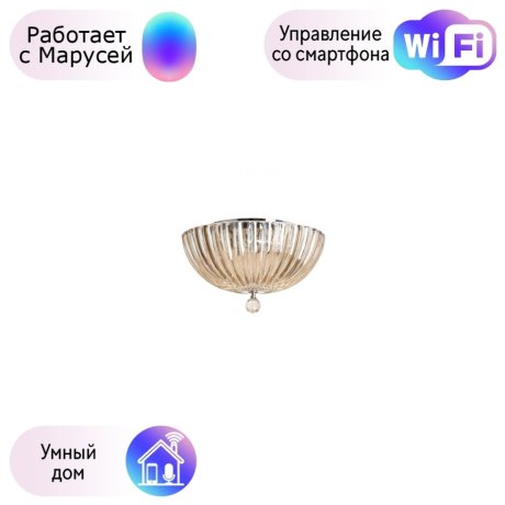 Потолочный светильник Divinare Lianto с поддержкой Маруся 4011/02 PL-3-М