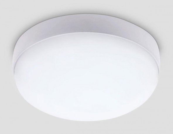 Накладной влагозащищенный светильник Ambrella light Street ST8633