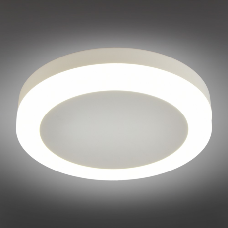 Накладной светодиодный светильник Omnilux Valles OML-102109-06