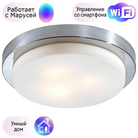 Настенно-потолочный влагозащищенный светильник Odeon Light Holger с поддержкой Маруся 2746/3C-М