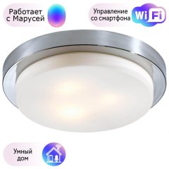 Настенно-потолочный влагозащищенный светильник Odeon Light Holger с поддержкой Маруся 2746/3C-М