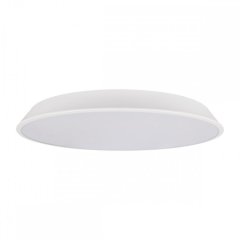 Потолочный светодиодный светильник Loft IT Brim 10226 White