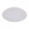 Потолочный светодиодный светильник Loft IT Brim 10226 White