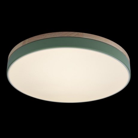 Потолочный светодиодный светильник Axel Loft It 10001/36 Green