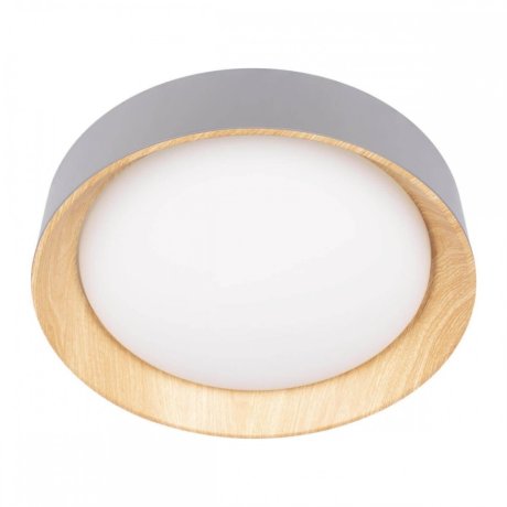 Потолочный светодиодный светильник Loft IT Coin 10202 Grey