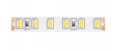 5м. Светодиодная лента холодного цвета 6000К, 9,6W, 24V, 120LED, IP20 Led strip Maytoni 10144