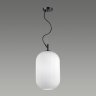 Светильник с лампочкой Odeon Light Roofi 4752/1+Lamps