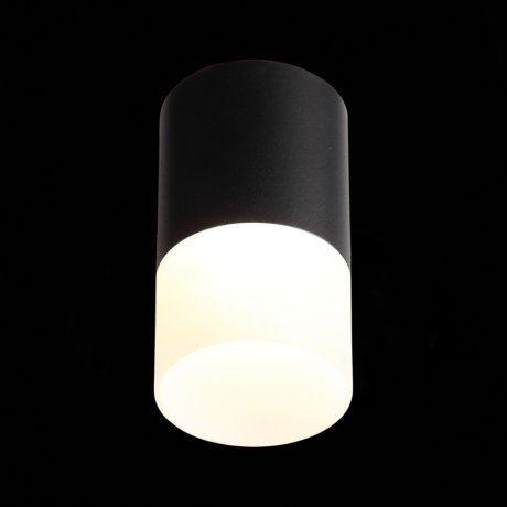 Светильник точечный накладной ST-Luce Ottu ST100.402.10